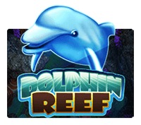 Dolphin Reef