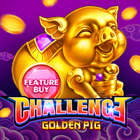 FEATURE BUY・GOLDEN PIG