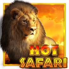 Hot Safari